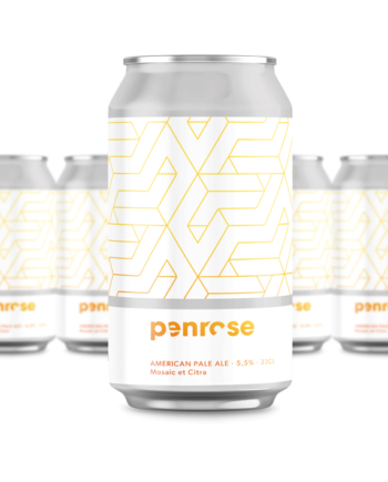 American Pale Ale - pack de 6