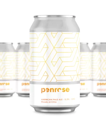 American Pale Ale - pack de 6