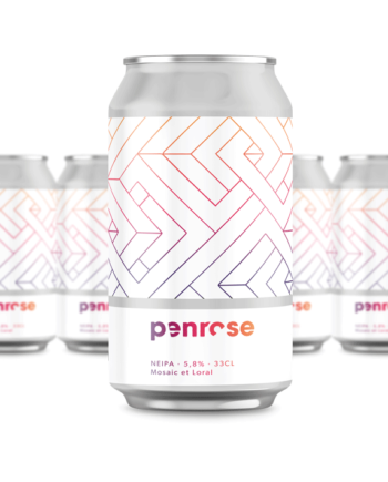 NEIPA - pack de 6
